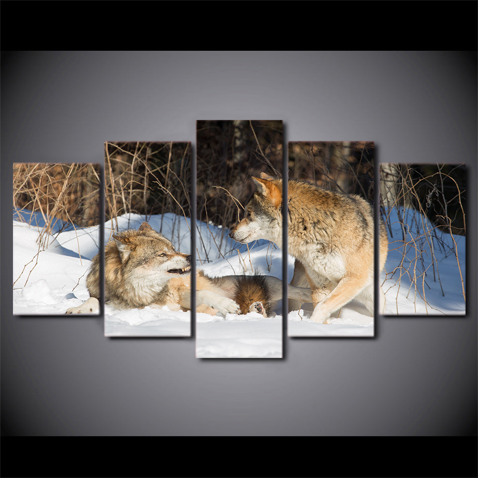 Limited Edition 5 Piece Angry Brown Wolves Canvas