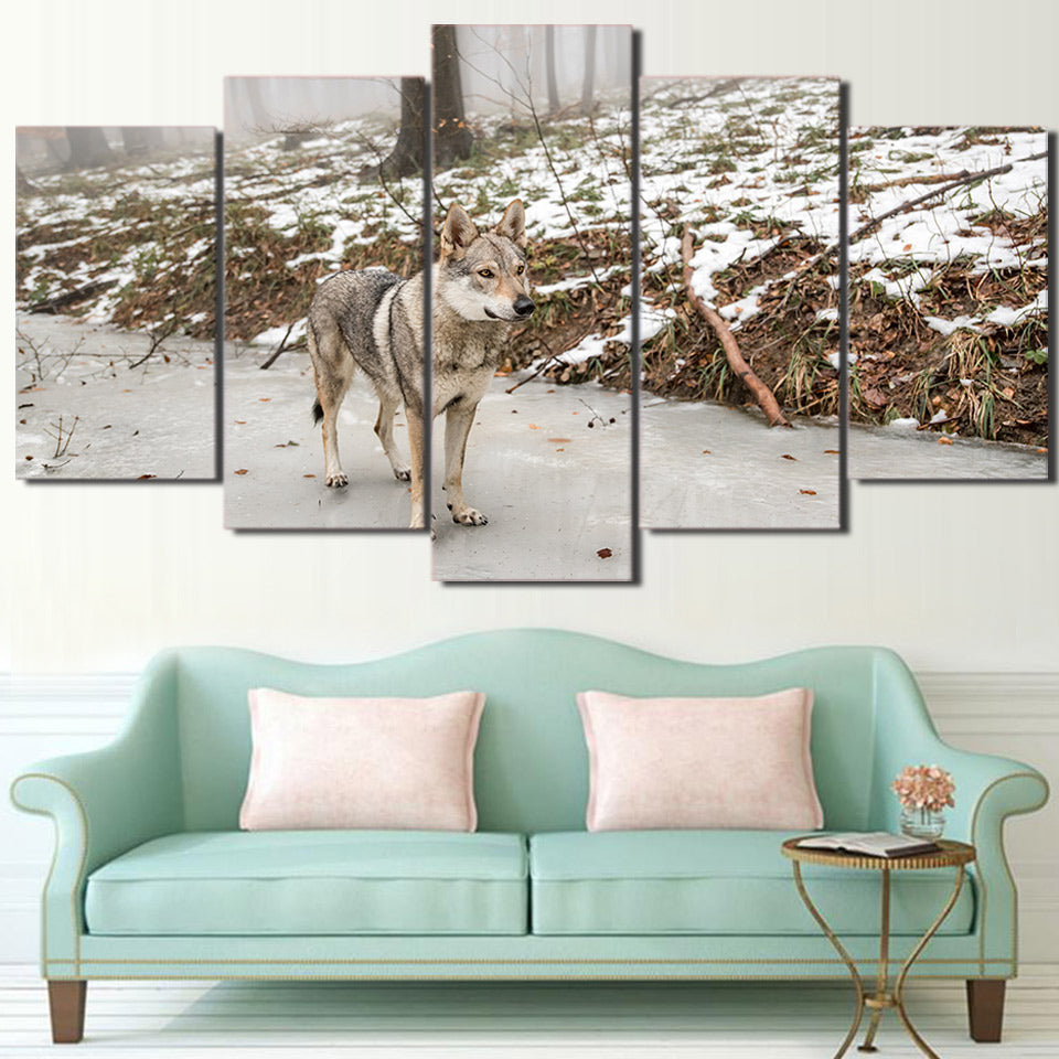 Limited Edition 5 Piece Gray Wolf In The Forest Canvas