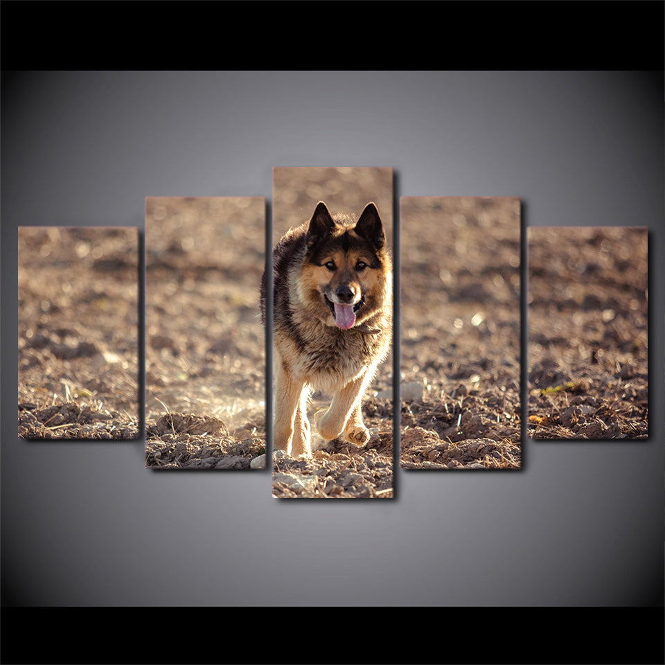 Limited Edition 5 Piece Wild Wolf In The Wilderness Canvas