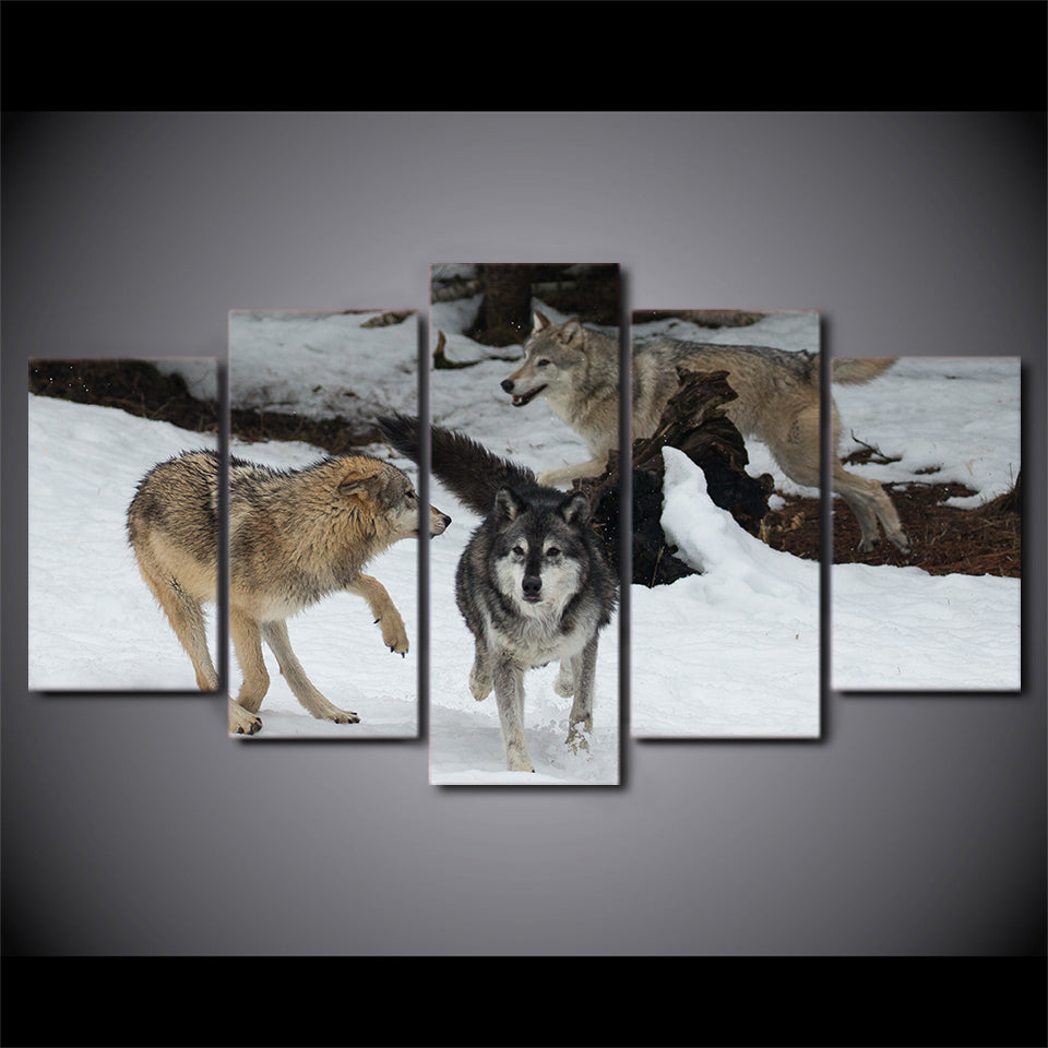 Limited Edition 5 Piece Wolf Playing In The Snow Canvas