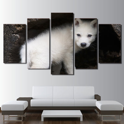 Limited Edition 5 Piece Baby White Wolf  Hiding Canvas