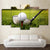 Limited Edition 5 Piece Golf Club And Ball In Position Canvas