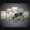 Limited Edition 5 Piece Deer In Black And White Canvas