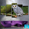 Limited Edition 5 Piece Owl Canvas
