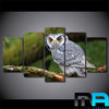 Limited Edition 5 Piece Owl Canvas