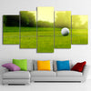 Limited Edition 5 Piece Awesome Golf Ball Canvas
