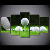 Limited Edition 5 Piece Golf Balls And A Club Canvas