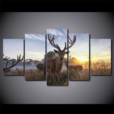 Limited Edition 5 Piece Deer In Sunrise Canvas