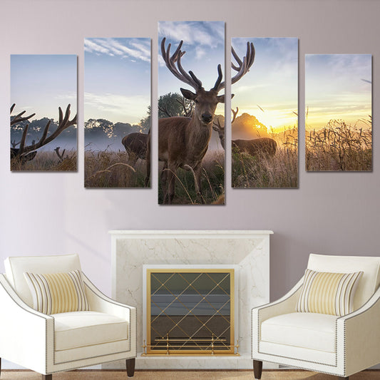 Limited Edition 5 Piece Deer In Sunrise Canvas