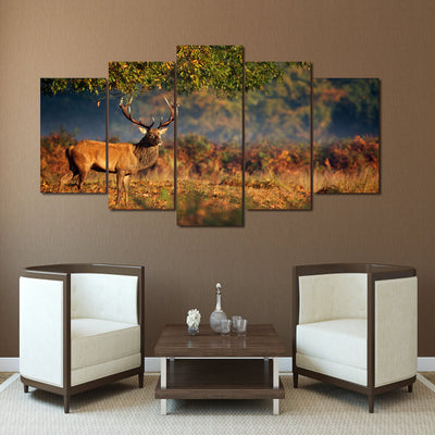 Limited Edition 5 Piece Deer In  An Orange Sunset Canvas