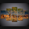 Limited Edition 5 Piece Deer In  An Orange Sunset Canvas