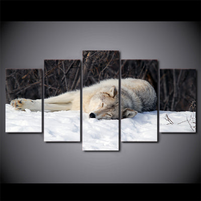 Limited Edition 5 Piece Sleeping Wolf In The Snow Canvas