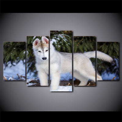 Limited Edition 5 Piece White Baby Wolf Canvas