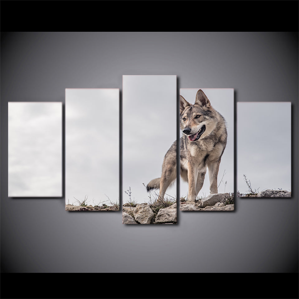 Limited Edition 5 Piece Wild Wolf At the Top Canvas