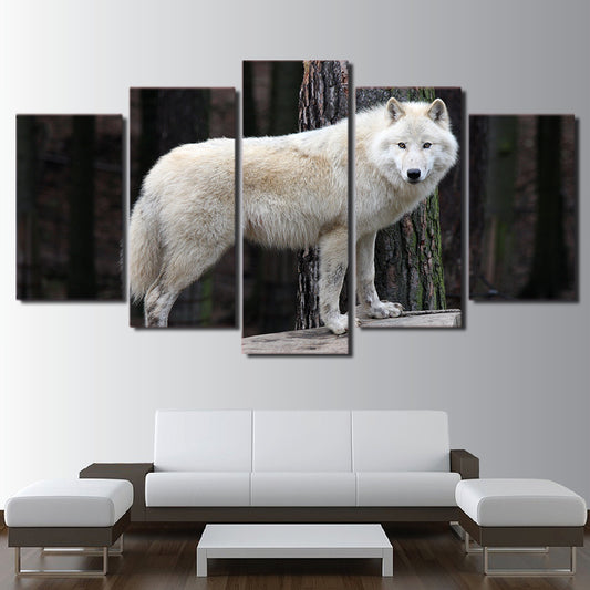 Limited Edition 5 Piece Staring White Forest Wolf Canvas