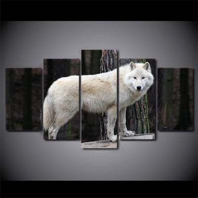 Limited Edition 5 Piece Staring White Forest Wolf Canvas